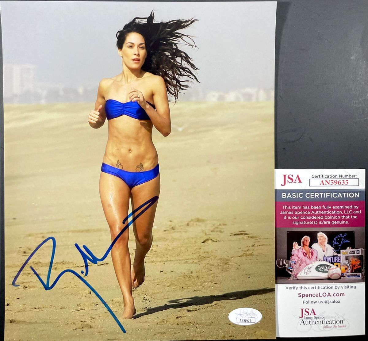WWE Brie Bella Signed 8x10 Photo E Autograph Bella Twins WrestleMania JSA COA
