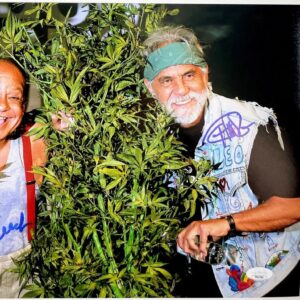 Cheech & Chong Signed Up In Smoke 11x14 Photo J Autograph JSA COA