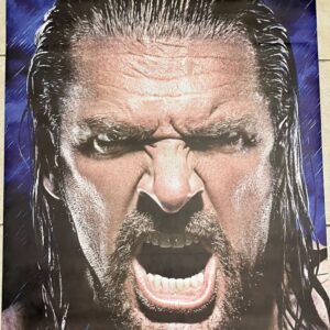 WWE NXT Triple H Signed SummerSlam 2012 Street Banner Autograph LA JSA LOA