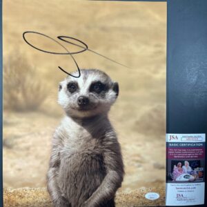 Billy Eichner Signed Disney The Lion King Timon 11x14 Photo B Autograph JSA COA