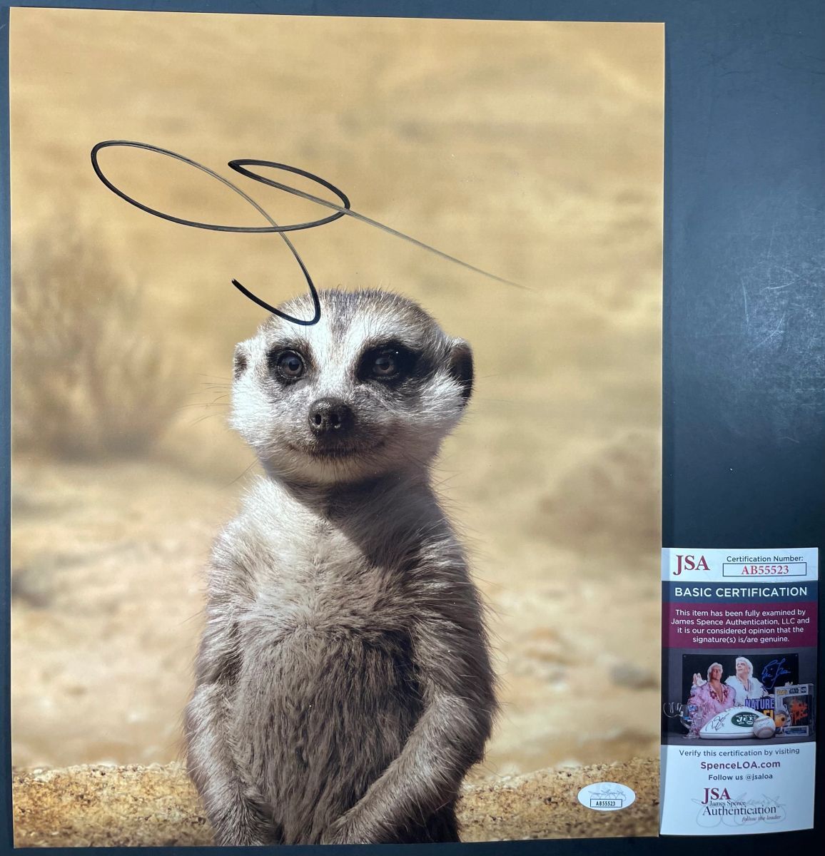 Billy Eichner Signed Disney The Lion King Timon 11x14 Photo B Autograph JSA COA