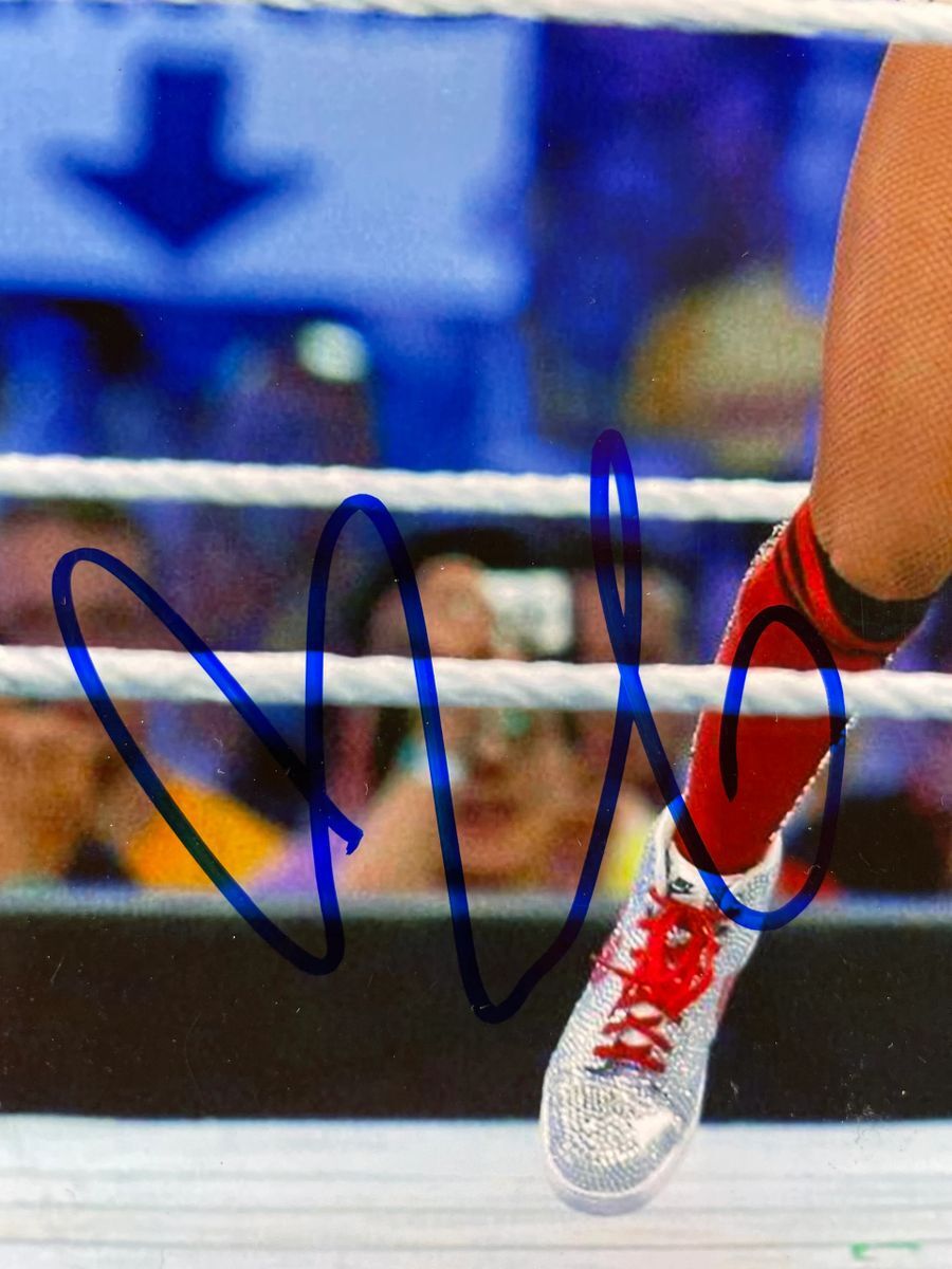 WWE NXT Nikki Bella & Brie Bella Twins Dual Signed 8x10 Photo Autograph JSA COA - Image 3